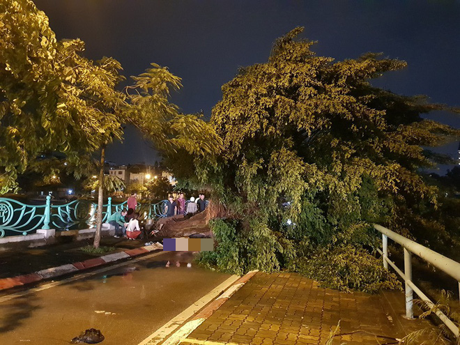 Mưa giông dữ dội từ cuối chiều ở Hà Nội, 1 nam thanh niên bị cây si đổ trúng tử vong - Ảnh 3.