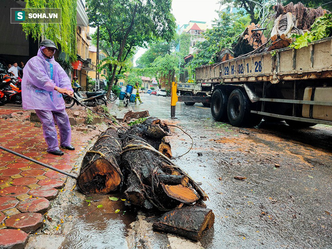 Cây đổ hàng loạt, đè trúng ô tô, hiện trường tan hoang ở Hà Nội và các tỉnh phía Bắc khi bão số 3 quét qua - Ảnh 2.