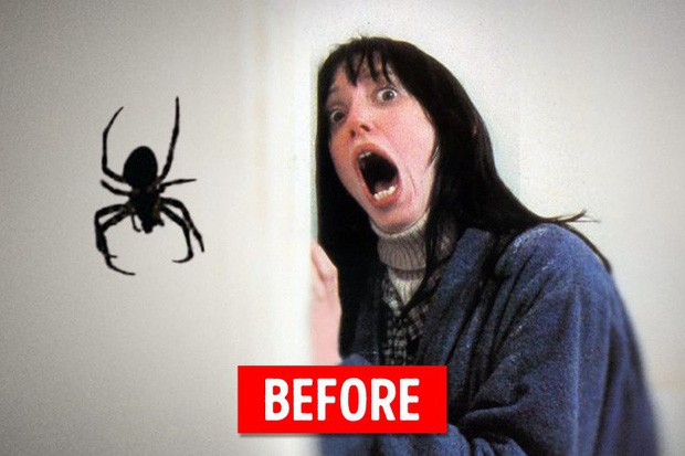 Bạn có sợ nhện không? Nếu có thì chỉ mất 7s thôi, có khi bạn yêu chúng nó luôn - Ảnh 2.