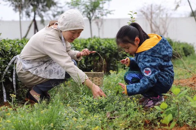 Ngôi nhà trên đồi với tầm nhìn xanh mát yên bình của người phụ nữ nghỉ hưu ở tuổi 42, rời thành thị về quê sinh sống - Ảnh 3.