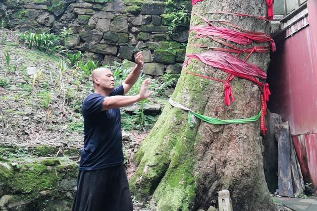 Võ sư Vịnh Xuân, Thái Cực bị “ném đá” vì diễn trò chặt gạch sau trận đấu hài hước - Ảnh 8.