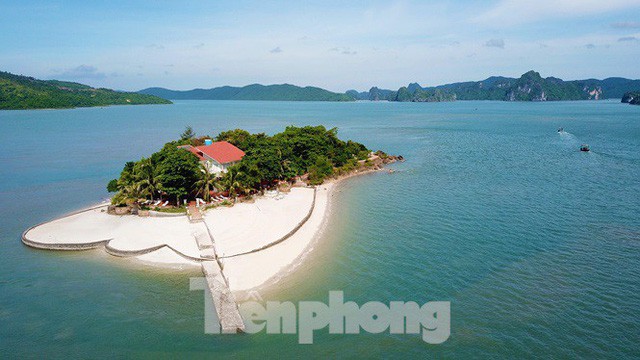 Hàng loạt đảo trên vịnh Bái Tử Long bị biến thành biệt thự, đặc khu - Ảnh 1.