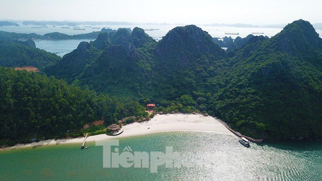 Hàng loạt đảo trên vịnh Bái Tử Long bị biến thành biệt thự, đặc khu - Ảnh 2.