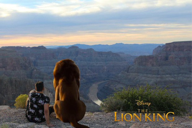 Nhờ dân mạng xóa giúp người yêu cũ ra khỏi bức ảnh, thanh niên thất tình nhận về rổ meme quá sức tưởng tượng - Ảnh 5. Nhờ dân mạng xóa giúp người yêu cũ ra khỏi bức ảnh, thanh niên thất tình nhận về rổ meme quá sức tưởng tượng - Ảnh 5.