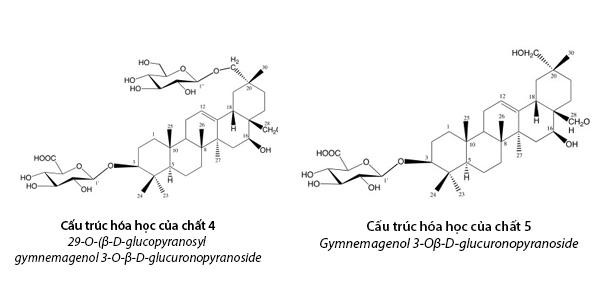 Công bố 2 hoạt chất mới giúp hạ đường huyết mạnh trong Dây thìa canh Việt Nam  - Ảnh 2.