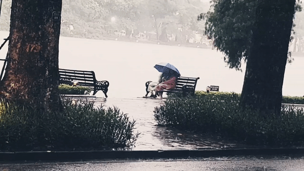 Góc ngôn tình: Cặp đôi nắm tay nhau dưới mưa không rời suốt 1 tiếng đồng hồ và phản ứng hài hước của dân mạng - Ảnh 2.