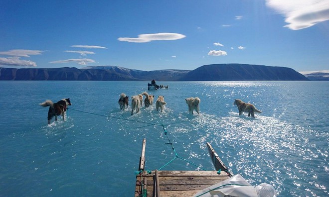 Đây là nguyên nhân khiến chó kéo xe ở Greenland đứng trước nguy cơ bị thất nghiệp - Ảnh 1.