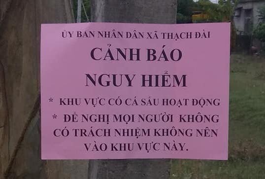 Cấm sông, chặn 2 đầu cầu để vây bắt cá sấu khủng xuất hiện dưới sông - Ảnh 2.