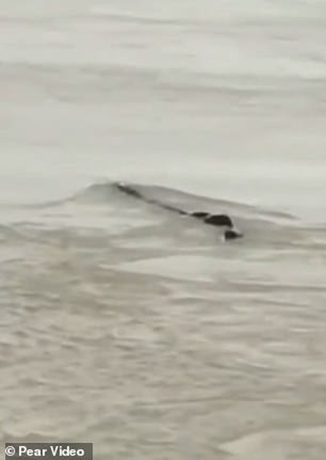 Cảnh sát phơi bày sự thật về quái vật hồ Loch Ness phiên bản Trung Quốc từng khiến bao người khiếp sợ - Ảnh 2.