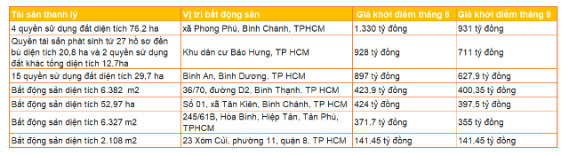 Khối tài sản thanh lý nghìn tỷ của Sacombank - Ảnh 3.