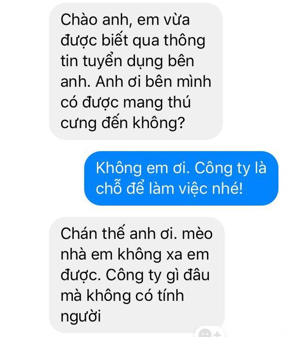 Nhà tuyển dụng tiết lộ những màn chào hỏi cực éo le, giờ thì hiểu vì sao nhiều bạn trẻ mãi chẳng xin nổi việc! - Ảnh 5.