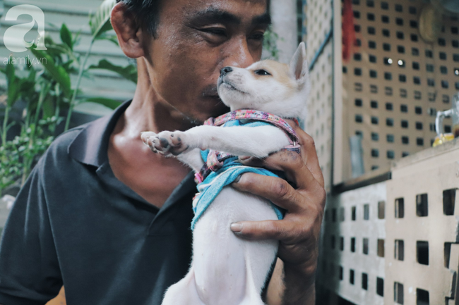 Gặp lại anh đánh giày câm và người bạn từng gây xúc động mạng xã hội: Bích La đã mất, chú chó mù chẳng còn ở bên anh câm nữa... - Ảnh 17.