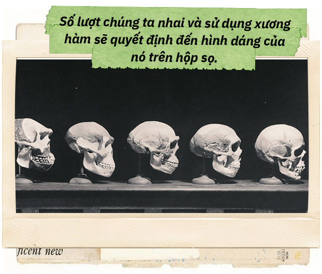 Đọc cuối tuần: Từ một con dê khuyết tật cho đến những bí ẩn trong bộ xương người - Ảnh 17.