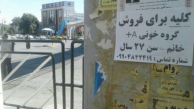 Kinh tế suy thoái, người Iran phải bán nội tạng để sống qua ngày  - Ảnh 3.