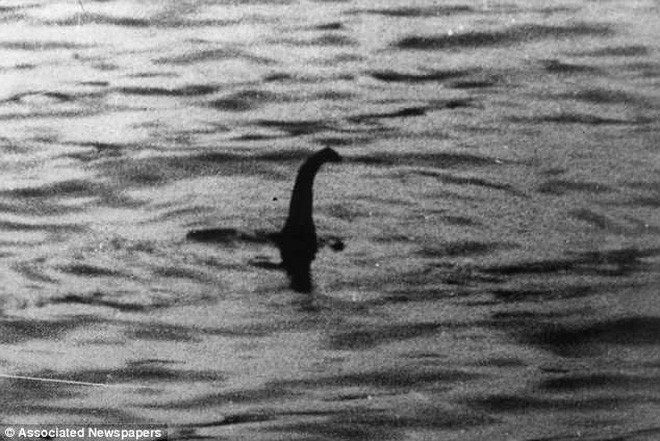 Giải mã đoạn video về Quái vật hồ Loch Ness huyền thoại: Danh tính của Nessie có thể là loài vật không ai nghĩ tới - Ảnh 6.