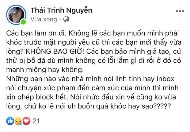 Thái Trinh bức xúc lên tiếng khi bị chỉ trích giả tạo: Thử bị bồ đá dù mình không có lỗi gì đi, có mạnh miệng hay không - Ảnh 1.