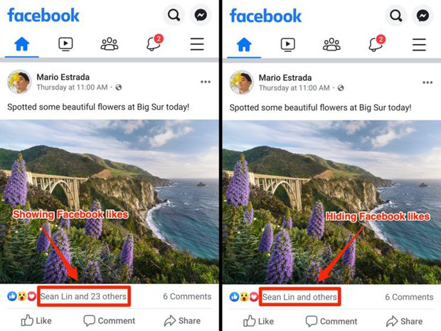 Hình ảnh đầu tiên về Facebook bỏ hiển thị số Like: Không còn khoe mẽ, chỉ hiện vài cái tên trơ trọi - Ảnh 1.