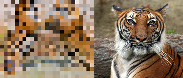 21 bức ảnh động vật hoang dã bị làm mờ: Tưởng ảnh hỏng nhưng lại mang thông điệp ý nghĩa phía sau khiến chúng ta phải bất ngờ - Ảnh 16.
