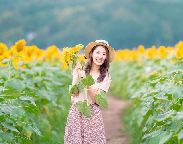 “Choáng váng” với cánh đồng hoa hướng dương triệu bông đẹp như bức tranh khổng lồ vào mùa thu ở Nhật Bản - Ảnh 5.