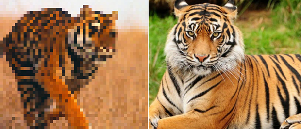 21 bức ảnh động vật hoang dã bị làm mờ: Tưởng ảnh hỏng nhưng lại mang thông điệp ý nghĩa phía sau khiến chúng ta phải bất ngờ - Ảnh 10.