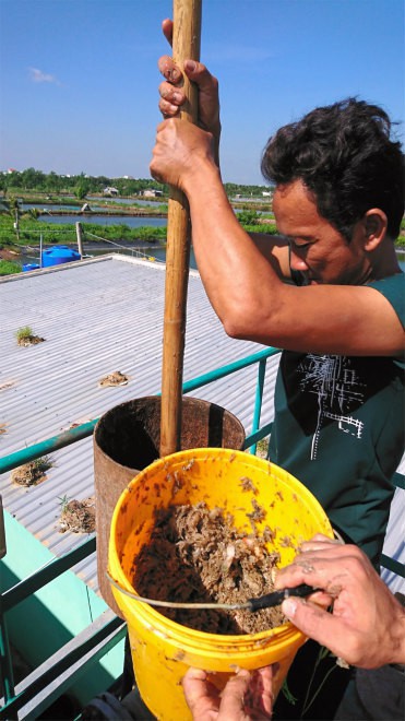 Sử dụng bùn ao, rơm và chất thải, đội ngũ các nhà khoa học Nhật Bản và Việt Nam tạo ra hệ thống sản xuất điện hiệu quả nhất thế giới - Ảnh 2.