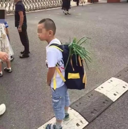Hàng loạt trẻ em Trung Quốc mang hành và đủ thứ lỉnh kỉnh đi khai giảng và lý do bất ngờ khiến dân mạng phì cười - Ảnh 1.