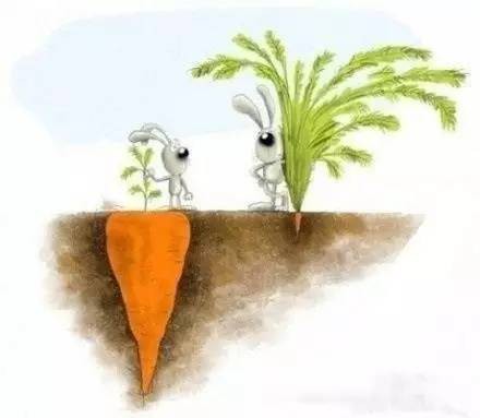 24 bức tranh có thể khiến người người tỉnh ngộ ngay khi xem xong: Bạn có nằm trong số này? - Ảnh 8. 24 bức tranh có thể khiến người người tỉnh ngộ ngay khi xem xong: Bạn có nằm trong số này? - Ảnh 8.