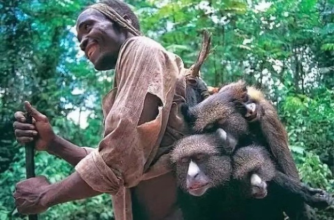 L&agrave;m thế n&agrave;o con người bị l&acirc;y nhiễm HIV/AIDS từ tinh tinh v&agrave; l&acirc;y lan to&agrave;n cầu? - Ảnh 6.