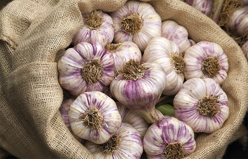 Mẹo hay trị mùi hôi chân - Ảnh 1. Mẹo hay trị mùi hôi chân - Ảnh 1.