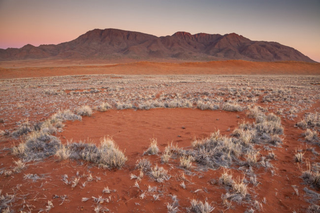 Những vòng tròn kỳ bí trong sa mạc Namib - Ảnh 2.
