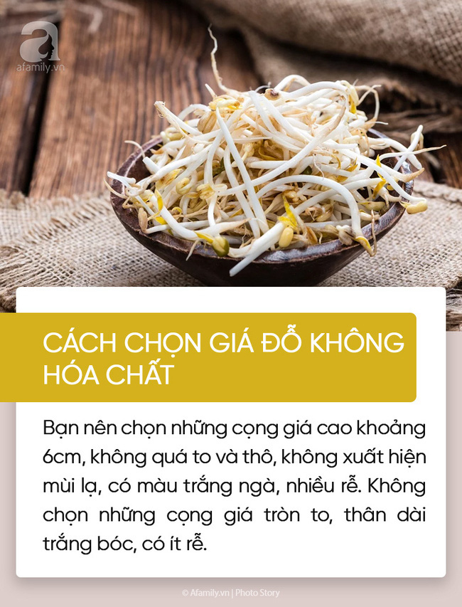 Mách các chị em lần đầu sắm Tết cách lựa chọn rau củ tươi ngon, chất lượng - Ảnh 1.