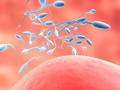 10 sát thủ khiến tỷ lệ sống của tinh trùng giảm: Nam giới nên chú ý ngay từ khi còn trẻ - Ảnh 2.