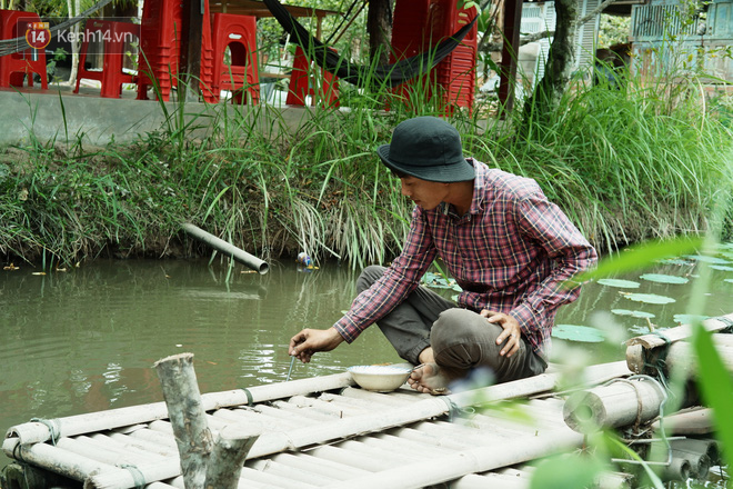 Kỳ lạ đàn cá tai tượng biết... nhõng nhẽo, ăn cơm trắng phải đút bằng muỗng của chàng trai 9X ở miền Tây - Ảnh 6.