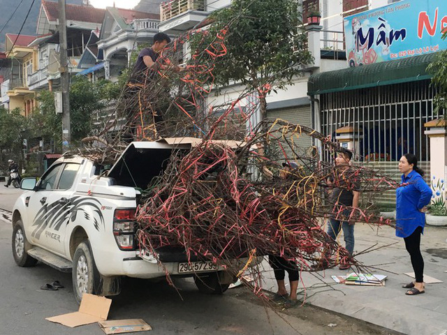 Lên Lai Châu săn đào rừng, bán liền tay lãi ngay trăm triệu - Ảnh 14.