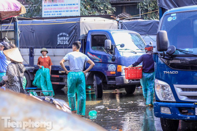 Chợ cá lớn nhất Hà Nội tất bật trước ngày ông Công ông Táo - Ảnh 8.