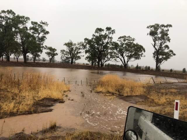 Biểu cảm vui sướng tột độ của bác nông dân khi đón nhận trận mưa quý giá, giúp tưới mát và dập tắt cháy rừng ở Úc - Ảnh 5.