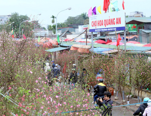 Hà Nội tuần cuối trước Tết, nghẹt thở tại chợ hoa Quảng An - Ảnh 10.