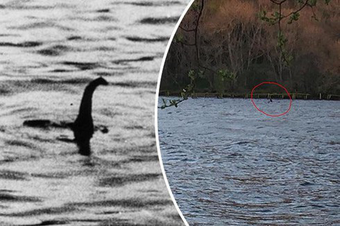 Giải mã sốc: Huyền thoại quái vật hồ Loch Ness có từ bao giờ? - Ảnh 8.