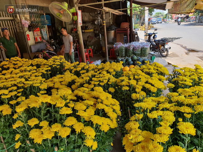 Chồng đột quỵ rồi mất trong lúc bán hoa Tết ở Sài Gòn, vợ cùng các con vội về đưa tang với hơn 2 tấn dưa còn nằm lại vỉa hè - Ảnh 7.