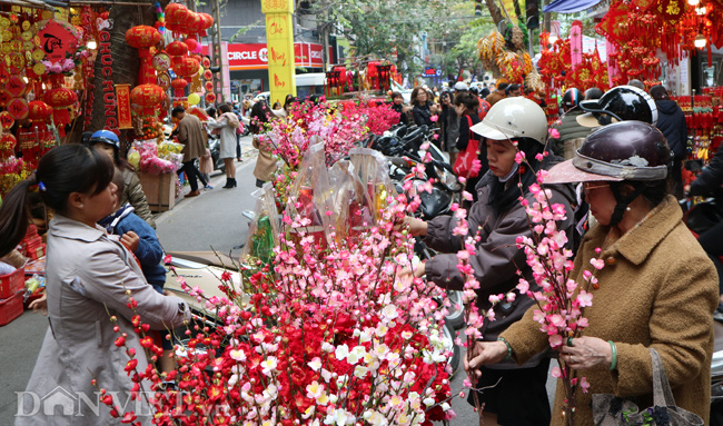 Chợ hoa lâu đời nhất Hà Nội nhộn nhịp cảnh mua sắm ngày cận Tết - Ảnh 12.