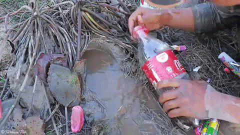 Dùng kẹo mentos bỏ vào chai Coca-Cola, chàng thanh niên tóm gọn cả ổ cá lẫn rắn nước - Ảnh 2.