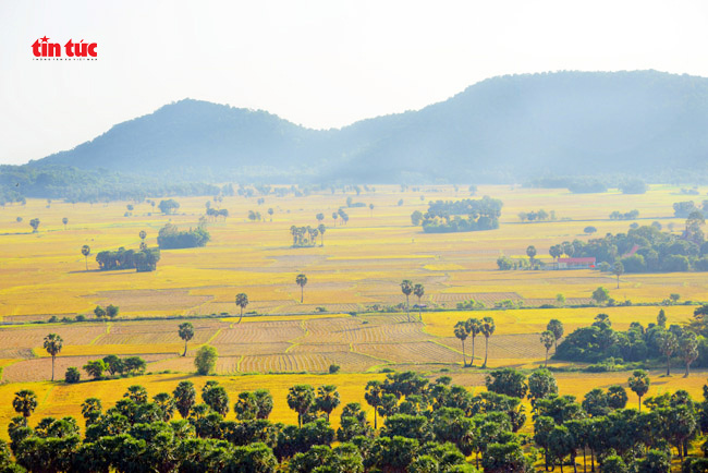 Săn chuột đồng ở vùng Bảy Núi An Giang - Ảnh 1.