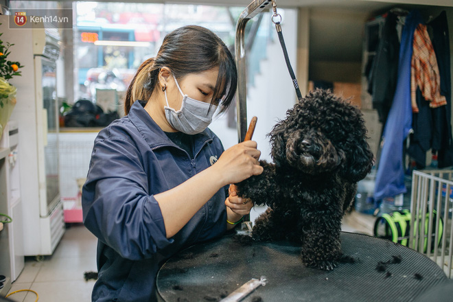 Sướng như boss dịp Tết: Sen đưa đi làm đẹp xong gửi vào khách sạn chó mèo siêu sang chảnh giá tiền triệu - Ảnh 18.