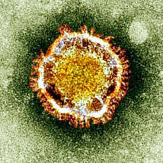 Virus Corona  ở Vũ Hán: Con đường phán tán, mức độ nguy hiểm và 6 cách bảo vệ bản thân do CDC hướng dẫn - Ảnh 1.