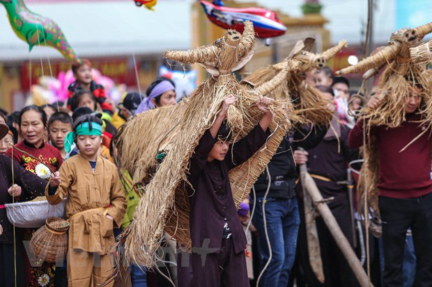 Trai làng giả gái gieo hạt tại lễ hội trâu bò rơm rạ tỉnh Vĩnh Phúc - Ảnh 9.