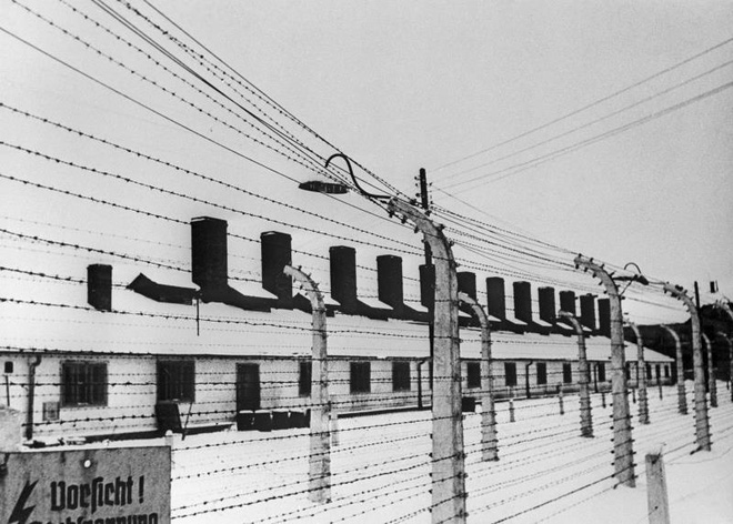 Địa ngục trần gian: Hồng quân nhìn thấy gì sau khi giải phóng trại tập trung Auschwitz? - Ảnh 2.
