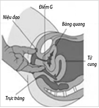 Thủ thuật làm tăng nhạy cảm “điểm G”: Trả lại sự thăng hoa cho phái đẹp - Ảnh 1.