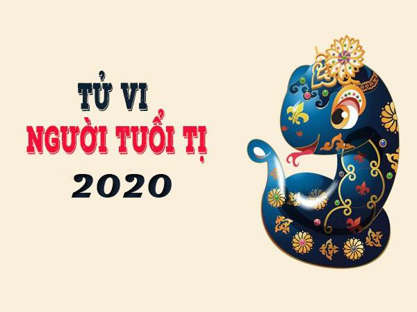 Màu sắc, hướng xuất hành may mắn mang lại tài lộc cho tuổi Tỵ trong năm Canh Tý 2020 - Ảnh 3.