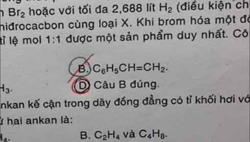 Ra đề kiểm tra kiểu nước đôi khiến học sinh không biết làm sao vừa lòng cô - Ảnh 1.