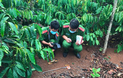 24 giờ truy bắt hung thủ sát hại bạn tình giấu xác trong rẫy cà phê - Ảnh 3.